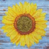 Diamond Art Sunflower Diamond Painting -Craft and Hobbies Store 040331 89662.1691500847