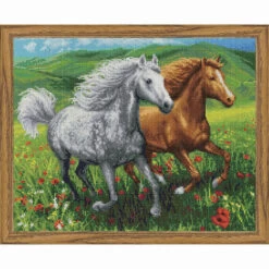 Collection D'Art Horses In The Meadow Diamond Painting