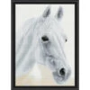 Diamond Dotz Arabian Beauty Diamond Painting