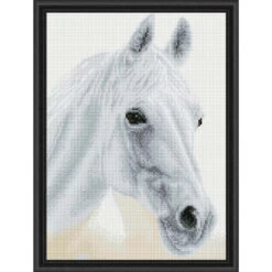 Diamond Dotz Arabian Beauty Diamond Painting