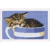 PixelHobby Kitten In A Teacup Mosaic Art Kit -Craft and Hobbies Store 041920 01766.1693403173
