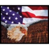 Diamond Dotz Bald Eagle & Flag Diamond Painting 1 Diamond Dotz Bald Eagle & Flag Diamond Painting -Craft and Hobbies Store 042103 27644.1693397330