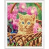 Diamond Art Kitten In Basket Diamond Painting -Craft and Hobbies Store 042370 61770.1693397465