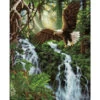 Diamond Dotz Eagle's Flight Diamond Painting -Craft and Hobbies Store 042562 18252.1693397673