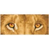 Diamond Dotz Lion Spy Diamond Painting -Craft and Hobbies Store 042563 2 08701.1699288365