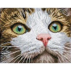 Craft and Hobbies Store 10 Diamond Dotz Green Eyed Beauty Diamond Painting