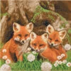 Crystal Art Foxes Diamond Painting -Craft and Hobbies Store 042598 90274.1669415687