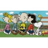 Diamond Dotz The Peanuts Gang Diamond Painting -Craft and Hobbies Store 043026 13937.1673475742