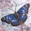 Diamond Dotz Elegant Flutter Diamond Painting 1 Diamond Dotz Elegant Flutter Diamond Painting -Craft and Hobbies Store 043095 95221.1676942126
