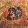 Crystal Art Best Friends Diamond Painting -Craft and Hobbies Store 043166 05432.1683039738